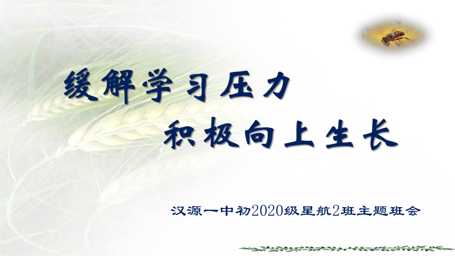 缓解学习压力积极向上生长 主题班会ppt课件（共16张ppt）--八年级上学期.pptx_第1页