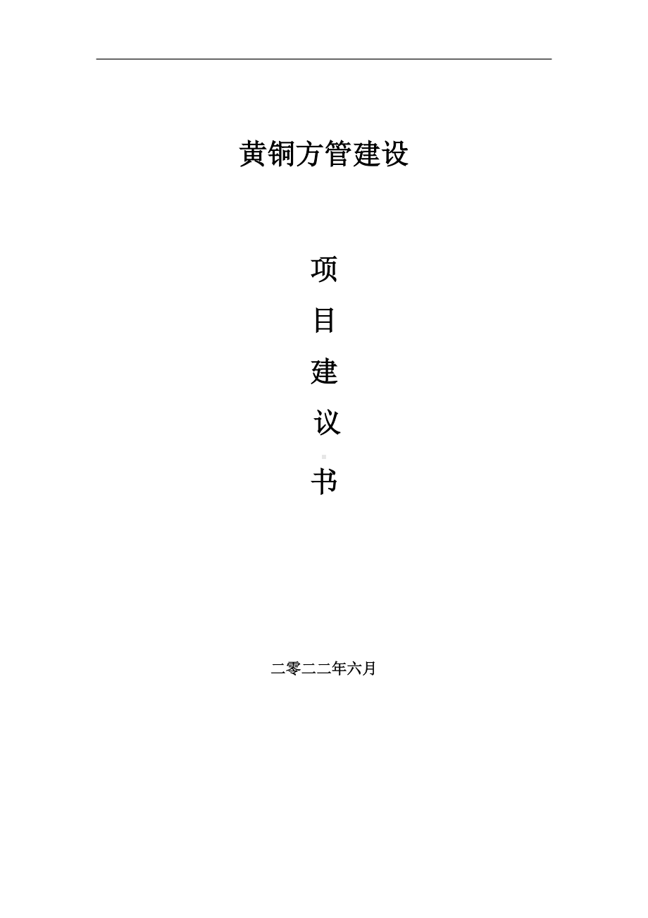 黄铜方管项目建议书（写作模板）.doc_第1页