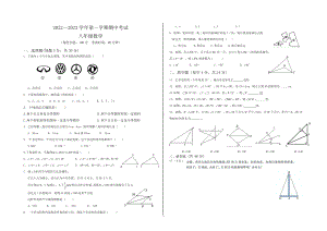 新疆乌鲁木齐市第七十一中学2022-2023学年八年级上学期期中考试数学试题.pdf