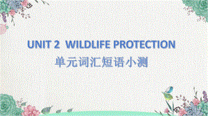 2022新人教版（2019）《高中英语》必修第二册Unit 2 单元词汇短语小测（ppt课件）.pptx