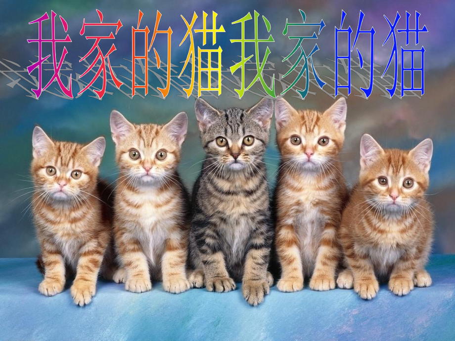 三年级下册美术课件-第7课 我家的猫｜辽海版 .ppt_第2页