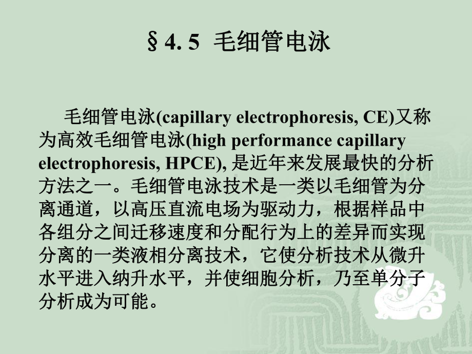 毛细管电泳学习培训模板课件.ppt_第1页