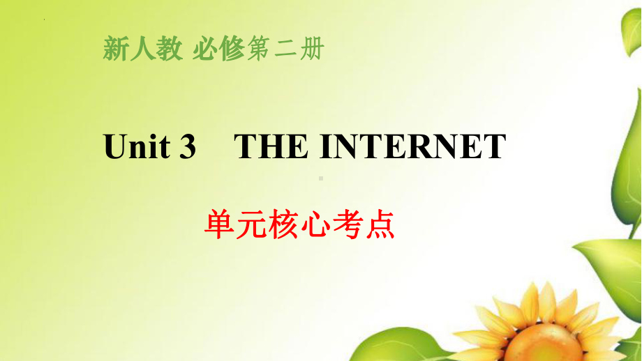 2022新人教版（2019）《高中英语》必修第二册Unit 3 The Internet 单元核心考点（ppt课件）.pptx_第1页