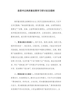 县委书记高质量发展学习研讨发言提纲.docx