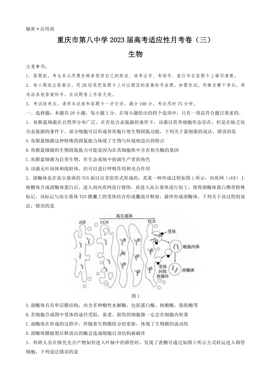 重庆市8中2023届高三上学期高考适应性月考生物试卷（三）及答案.pdf_第1页