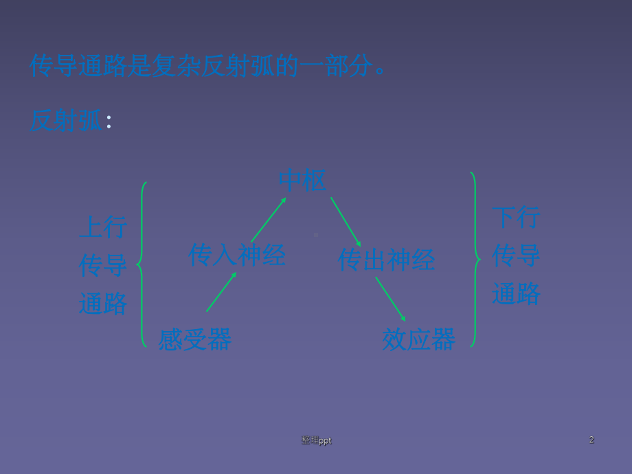 神经传导及常见疾病的定位诊断课件.ppt_第2页