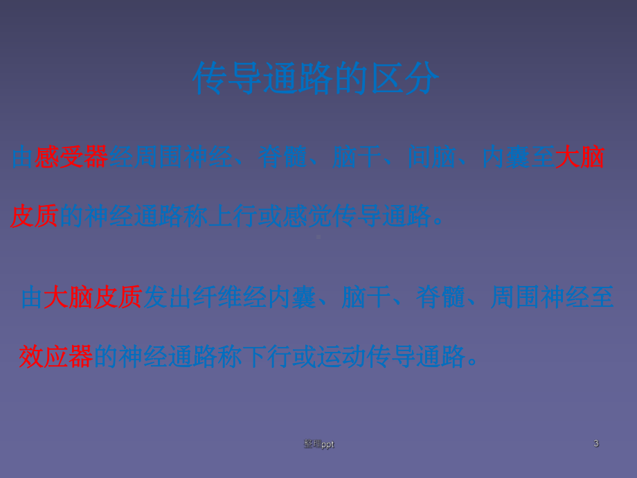 神经传导及常见疾病的定位诊断课件.ppt_第3页