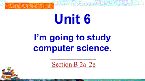 英语八年级上册Unit 6 Section B 2a 2e课件.pptx（纯ppt,不包含音视频素材）