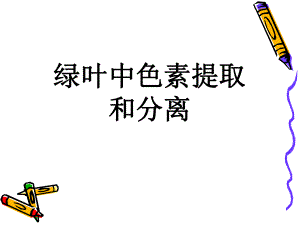 绿叶中色素的提取和分离实验课件.ppt