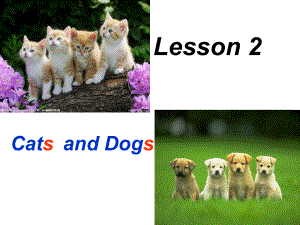 英语三年级下册：《Lesson 2 Cats and Dogs》课件3.ppt（纯ppt,不包含音视频素材）