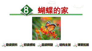 部编版四年级上册语文8蝴蝶的家课件.ppt