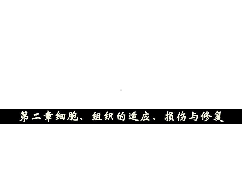 病理学教学第二章 细胞、组织的适应、损伤与修复课件.ppt_第1页