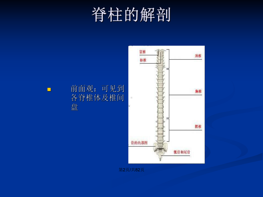 脊柱护理查房教案课件.pptx_第3页