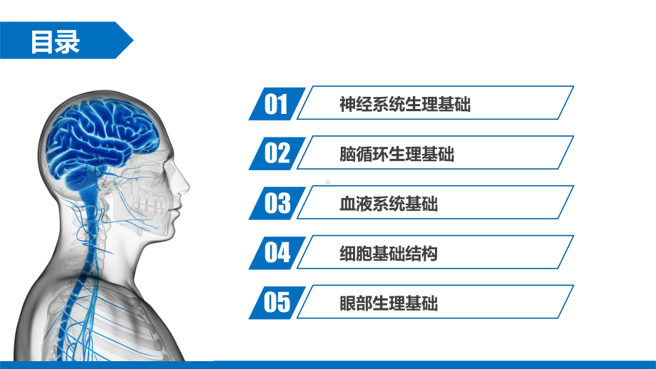 神经系统基础知识课件.ppt_第3页