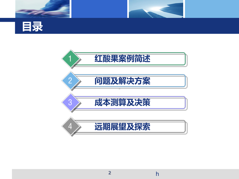 红酸果案例分析报告课件.ppt_第2页