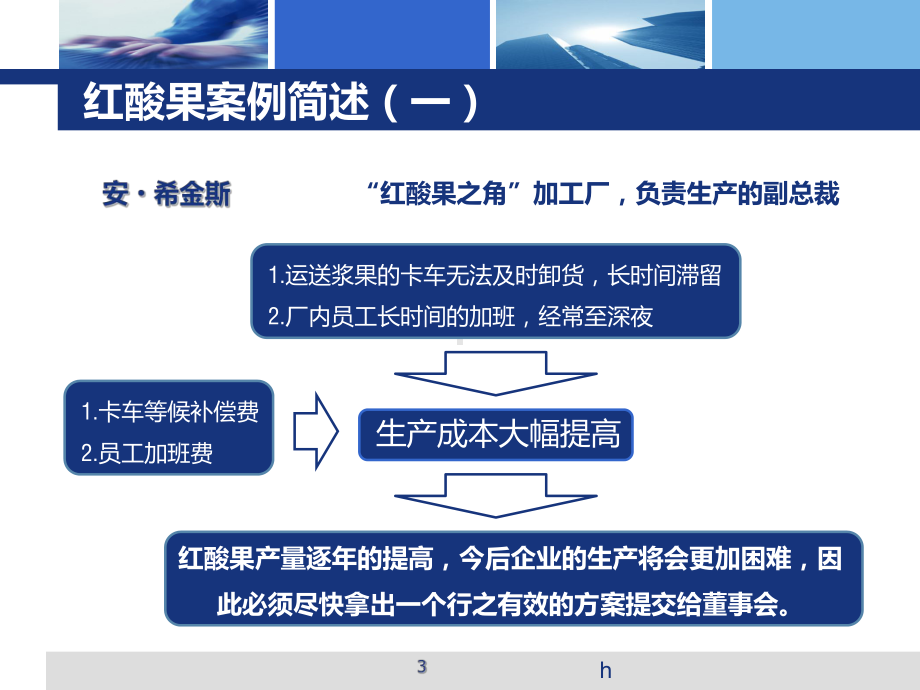 红酸果案例分析报告课件.ppt_第3页