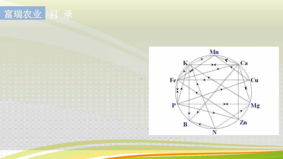 营养元素之间的拮抗与协同作用课件.ppt_第2页