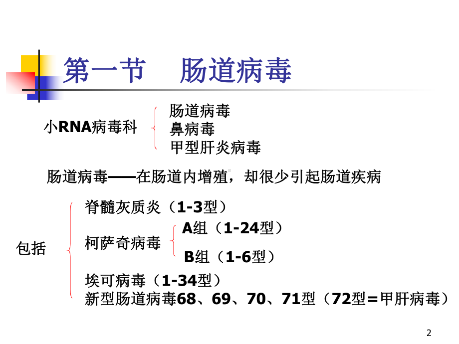 肠道感染病毒课件.ppt_第2页