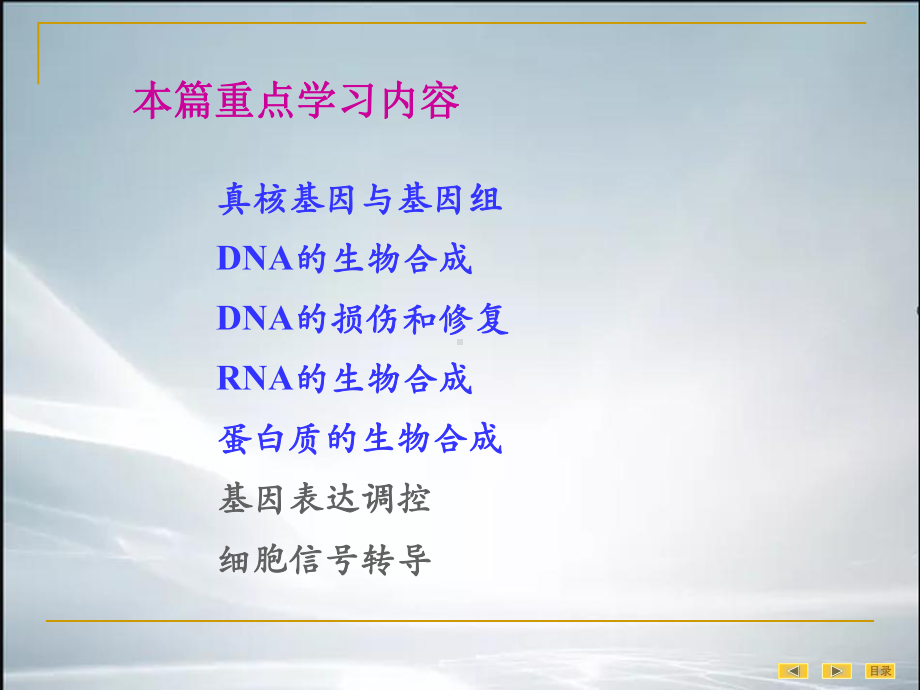 真核基因与基因组课件.ppt_第2页