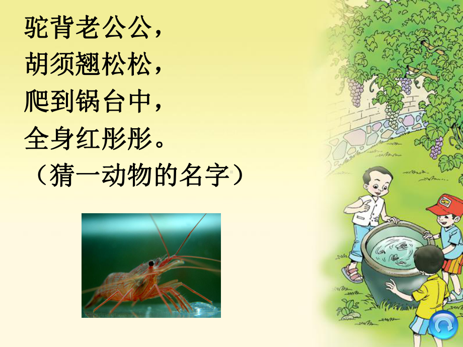 统编三下《小虾》课件.ppt_第1页