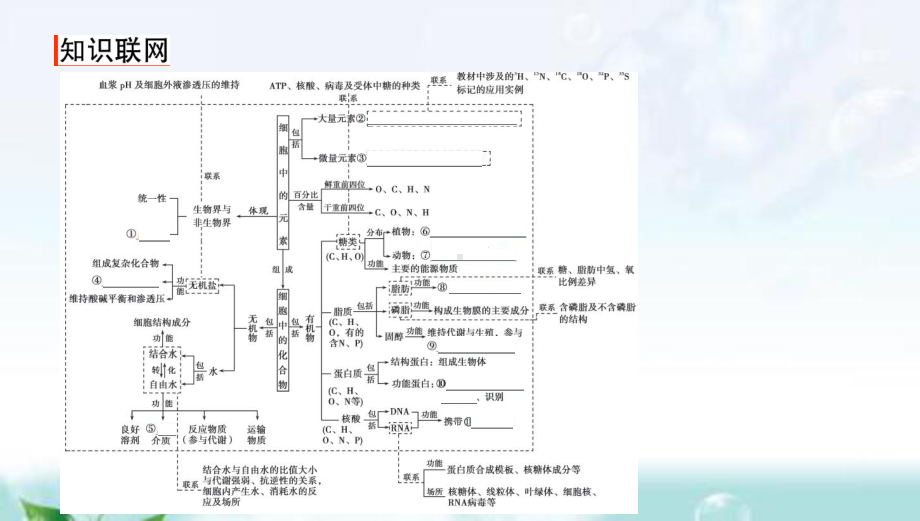 第1讲细胞的分子基础 高考生物(课标)二轮复习课件.ppt_第2页