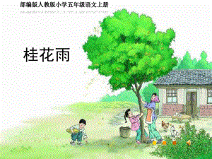 部编版人教版小学五年级语文上册《桂花雨》公开课教学课件(终稿).pptx