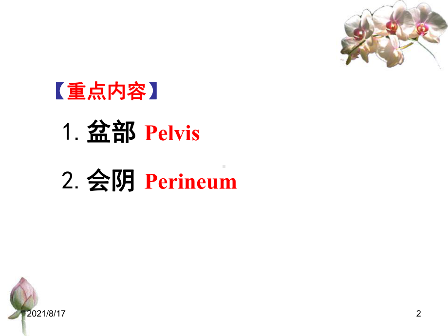 盆部及会阴 局解课件.ppt_第2页