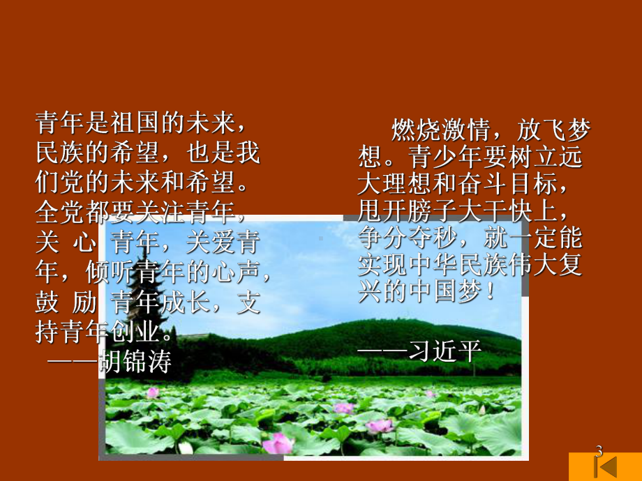 让青春绽放出绚丽的光彩(课件).ppt_第3页