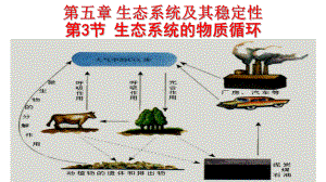 第5章第3节生态系统的物质循环26课件.pptx