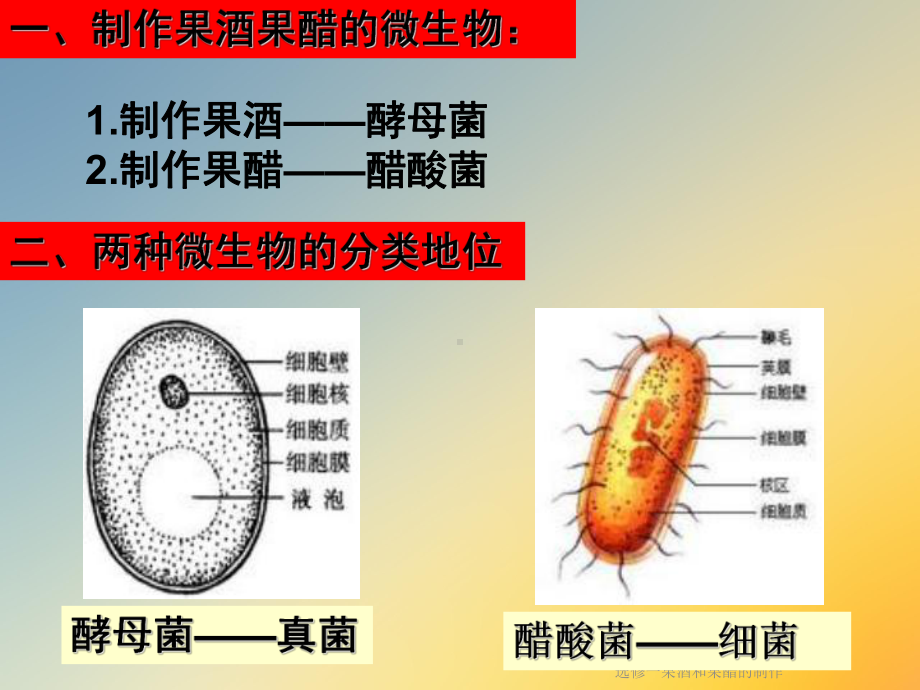 选修一果酒和果醋的制作课件.ppt_第2页