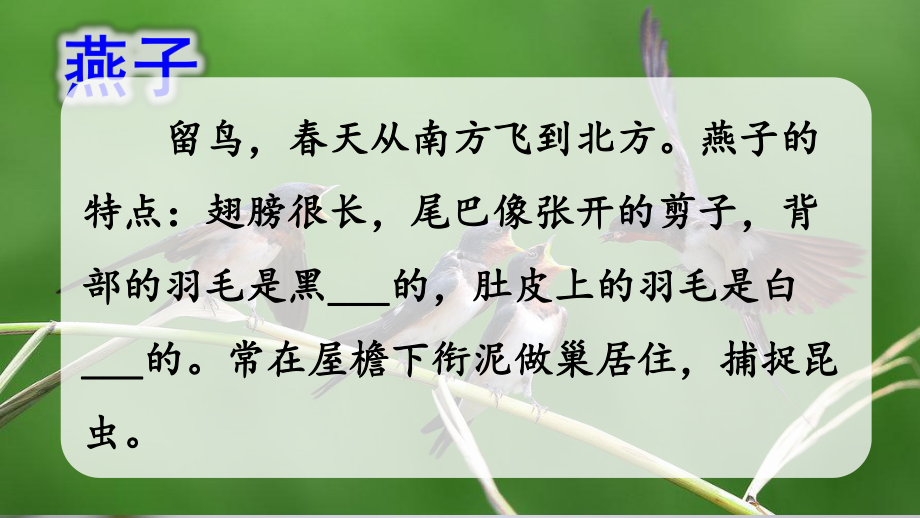 部编人教版三年级下册语文《2 燕子》课件.pptx_第2页