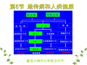 第六单元 第六节 遗传病和人类健康课件1 (北师大版八年级上册 ).ppt