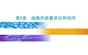 细胞的能量“货币”ATP（新教材）人教版高中生物必修一教学课件.pptx