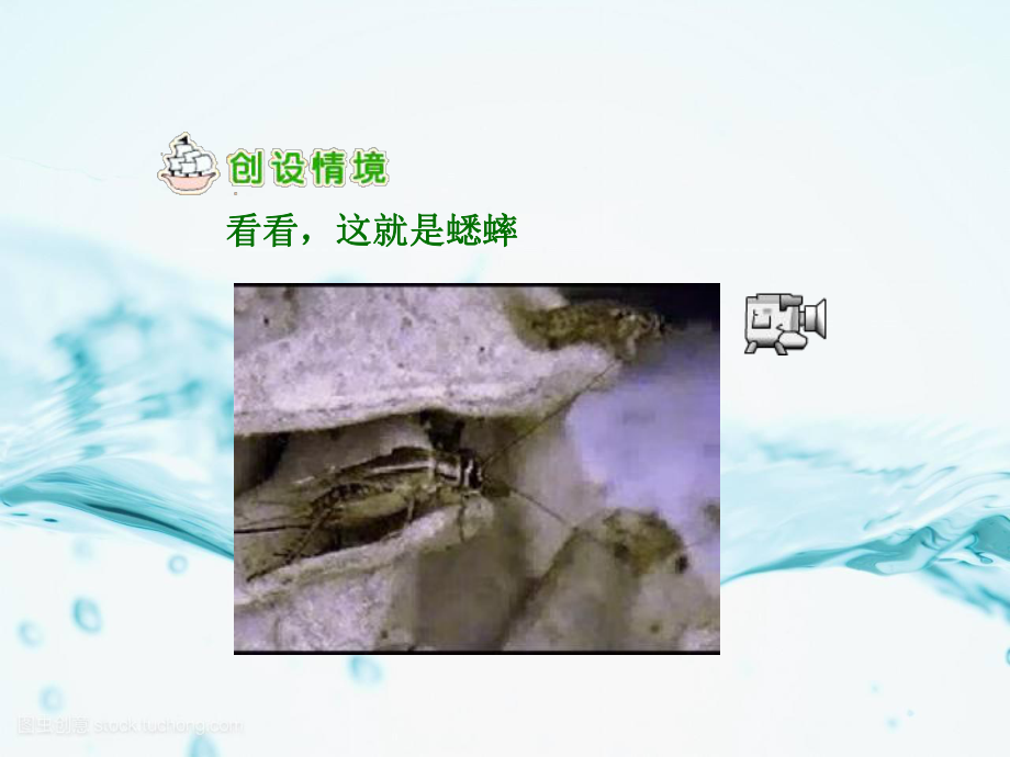 蟋蟀的住宅省优获奖 精美立体课件.ppt_第2页