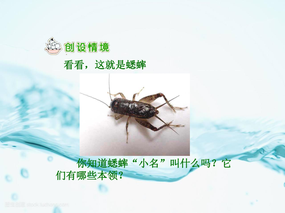 蟋蟀的住宅省优获奖 精美立体课件.ppt_第3页