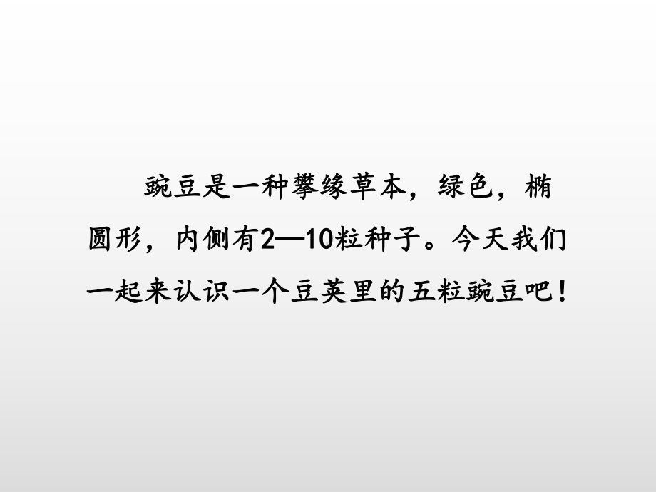 部编版四年级《一个豆荚里的五粒豆》课件完美1.pptx_第3页