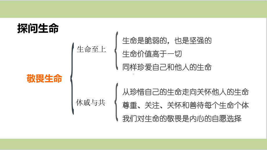 部编(统编)人教版七年级上册初中道德与法治 第八课 探问生命 期末复习课件.ppt_第3页