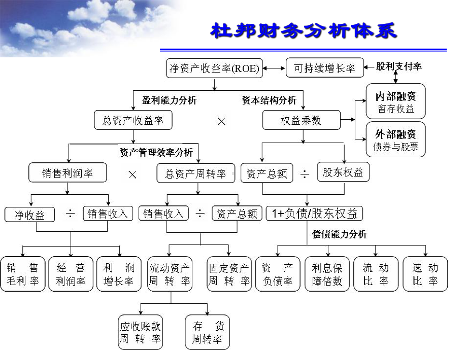 财务比率分析课件.pptx_第1页