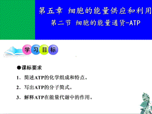 细胞的能量通货-ATP公开课高三高考生物一轮复习课件.ppt