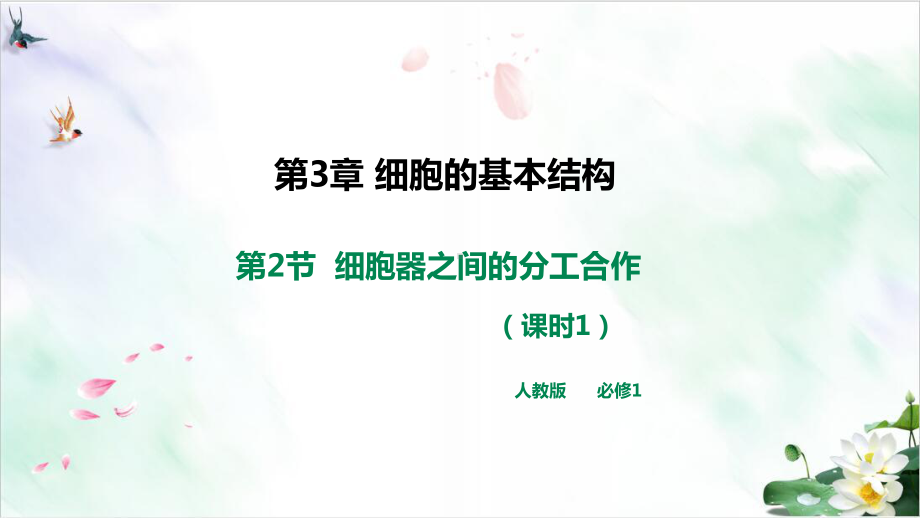 细胞器之间的分工合作课件.ppt_第2页