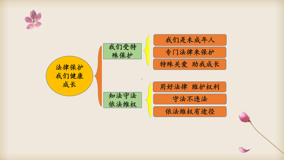 部编六年级上册道德与法治 第四单元法律保护我们健康成长 复习课件.pptx_第3页