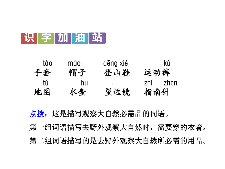 部编版二年级语文上册《语文园地一》《口语交际—有趣的动物》课件.pptx_第2页