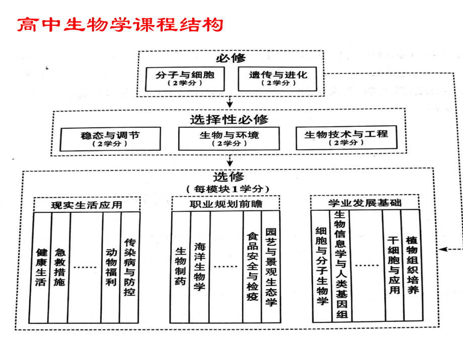 细胞是生命活动的基本单位课件（新教材）人教版高中生物必修一1.pptx_第1页