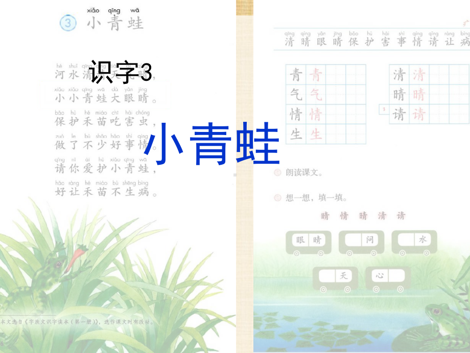 部编一年级语文下册识字3《小青蛙》精编课件.ppt_第2页