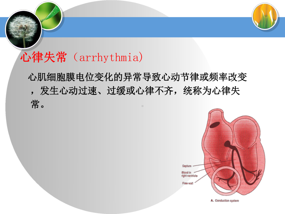 第二十二章药理第八版课件.ppt_第3页