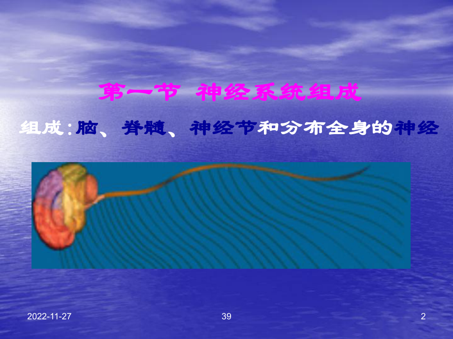 神经系统讲稿课件.ppt_第2页