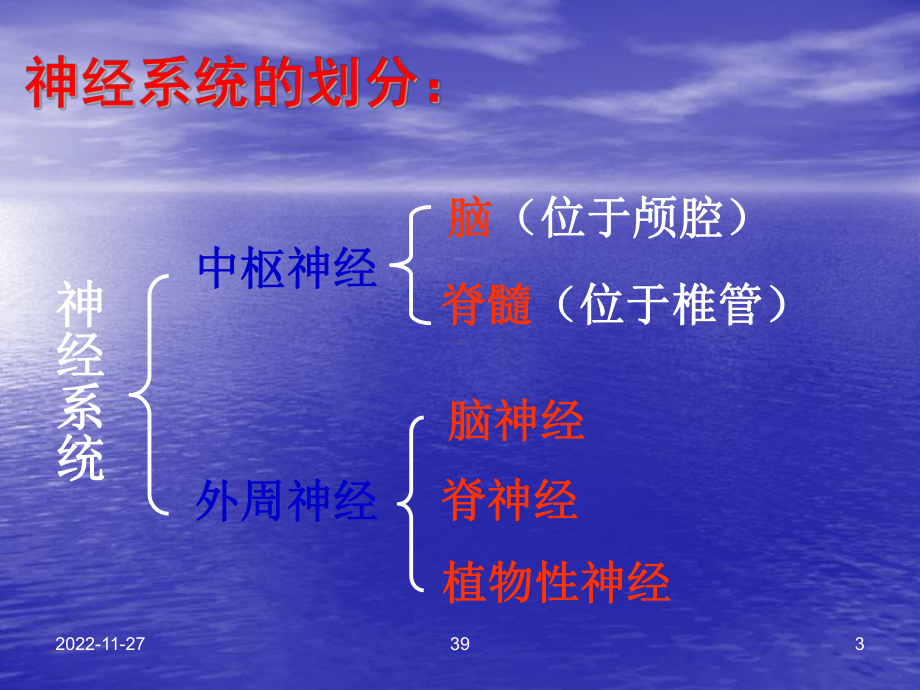 神经系统讲稿课件.ppt_第3页