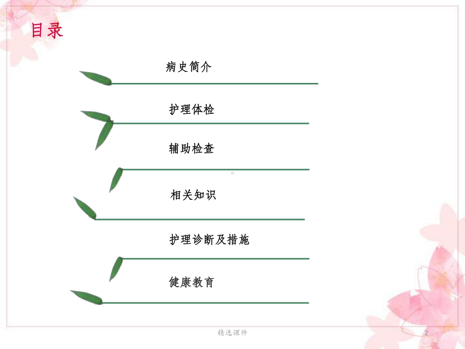 肝癌破裂出血课件.ppt_第2页