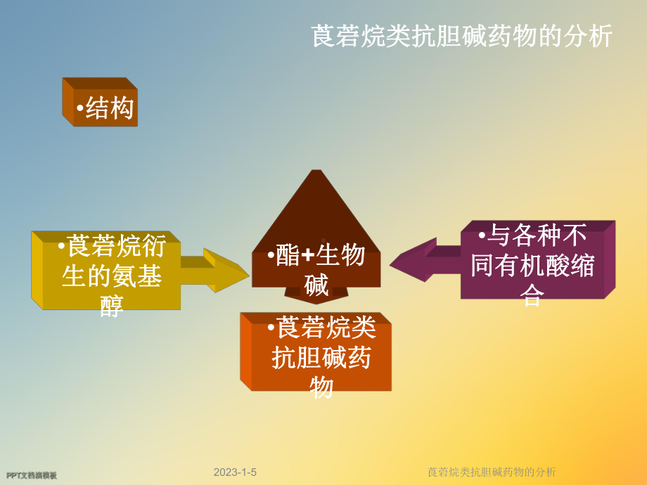 莨菪烷类抗胆碱药物的分析课件.ppt_第2页