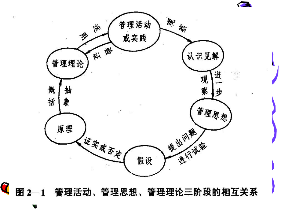 第6章 管理理论的形成和演进课件.ppt_第3页